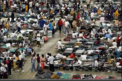 Environmental refugees